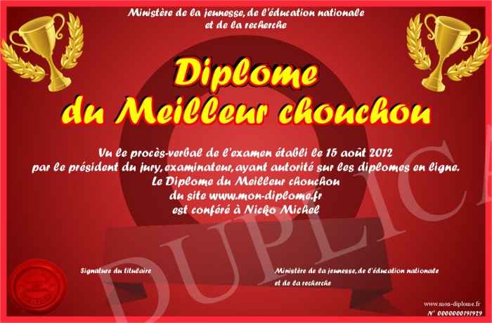 diplome universitaire urgentiste